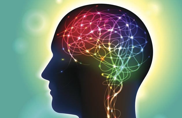 How The Brains Of Happy, Successful People Are Wired