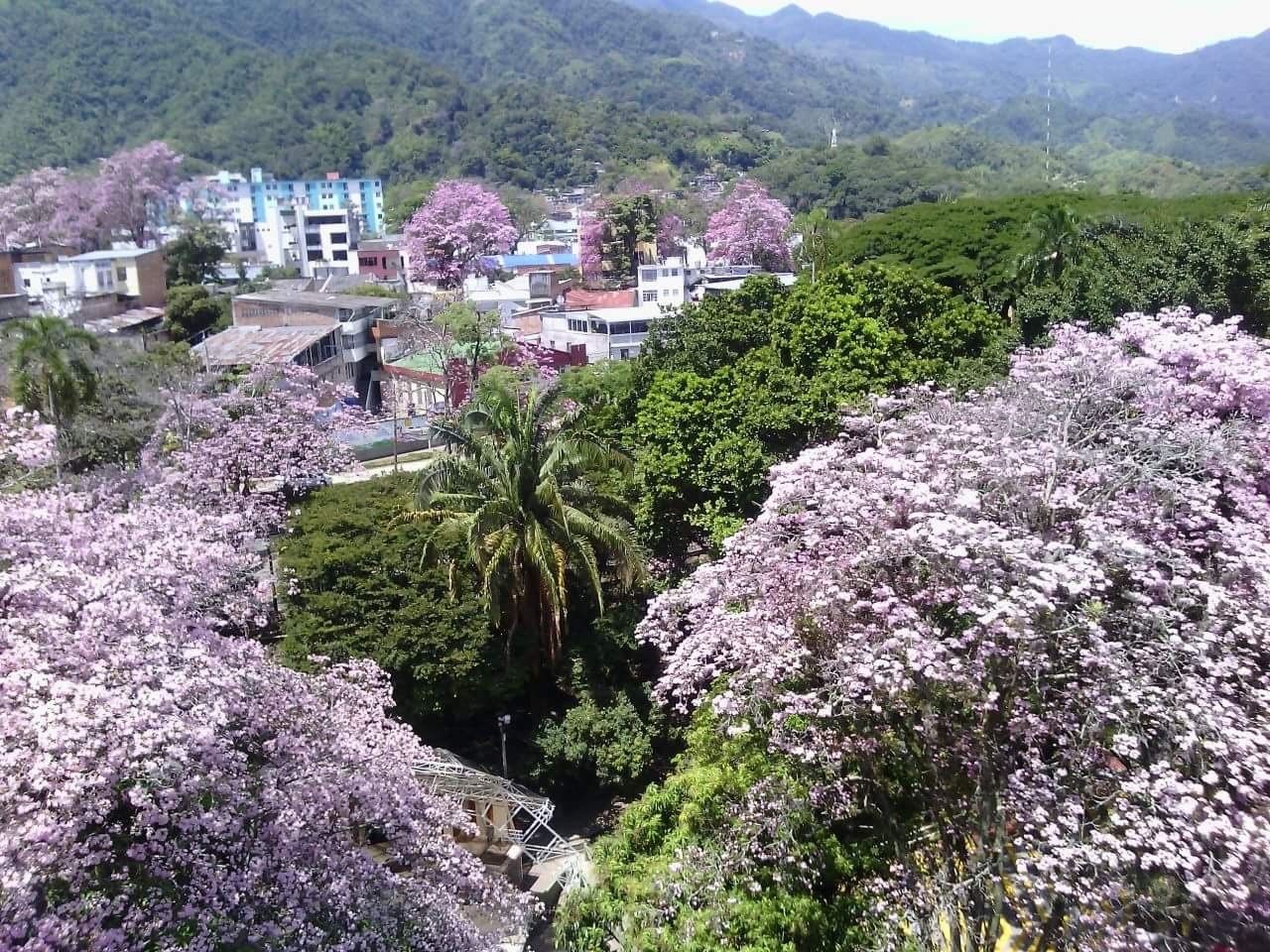 El contraste de la naturaleza!!