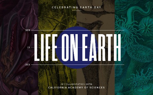 The Search for Life on Earth