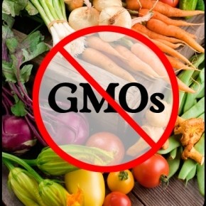 No GMOs Verified - cover