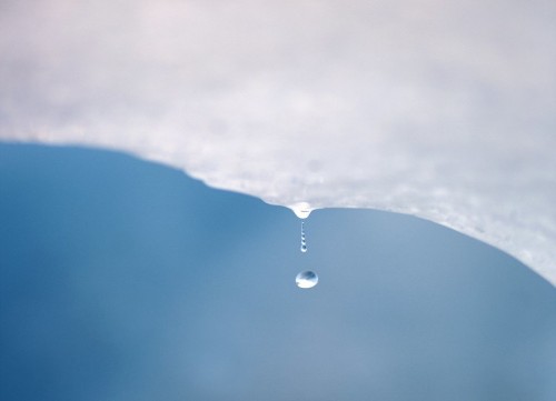 17 Shocking Photos That Show How Global Warming Is Everywhere