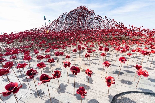 Poppy Sculpture ‘Wave’ in England: Pictures