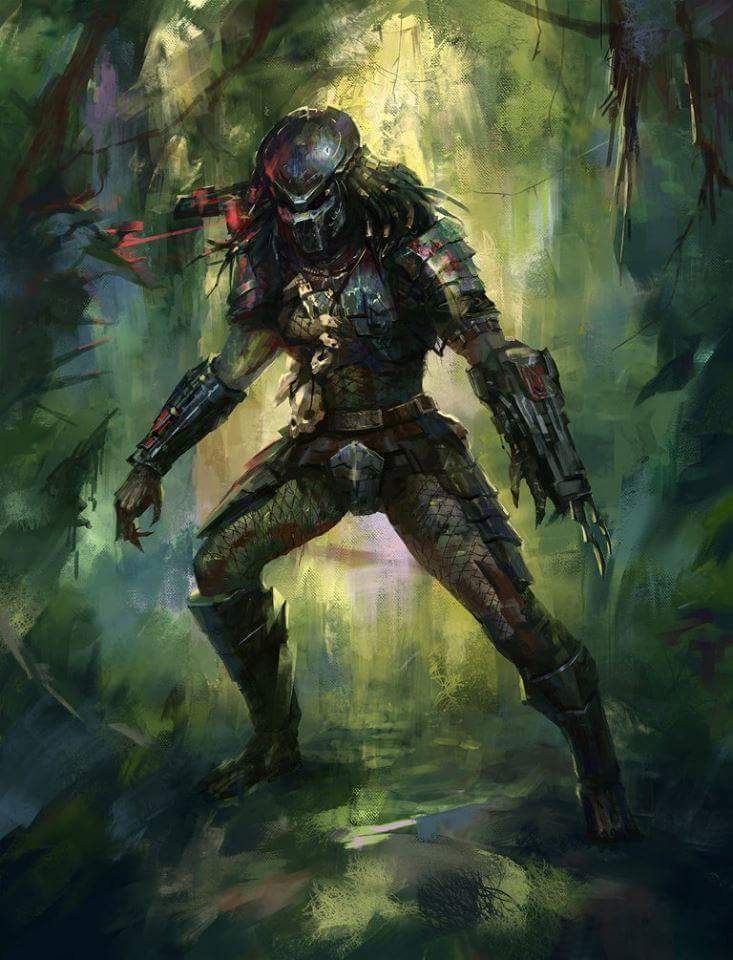 Predator - cover