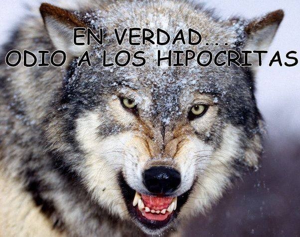Sobre todo q vos MANIPULADORA conmigo no jugas