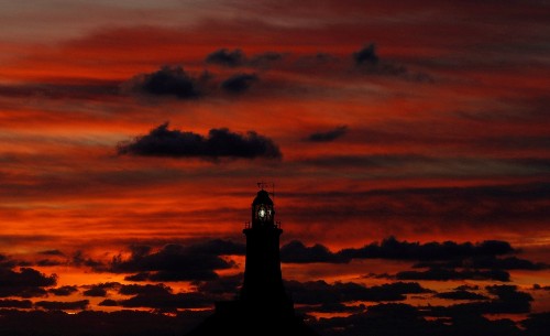 Pictures of the Week 11.9.17