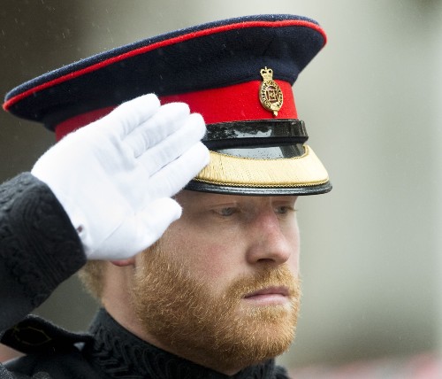 Prince Harry and Prince Philip Visit Field of Remembrance: Pictures