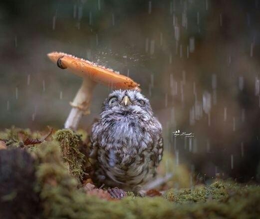 These Are A Few Of Our Favorite Things - cover