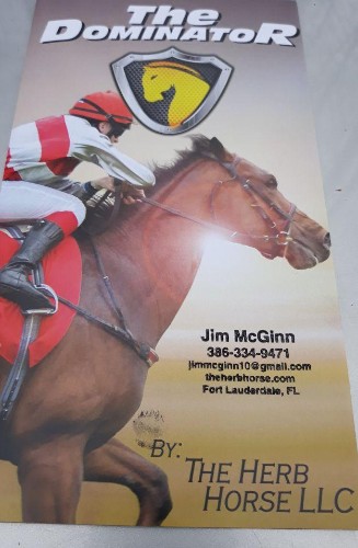 Horse Racing 2020 - cover