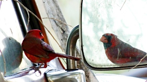 5 Ways to Become More Self-Aware