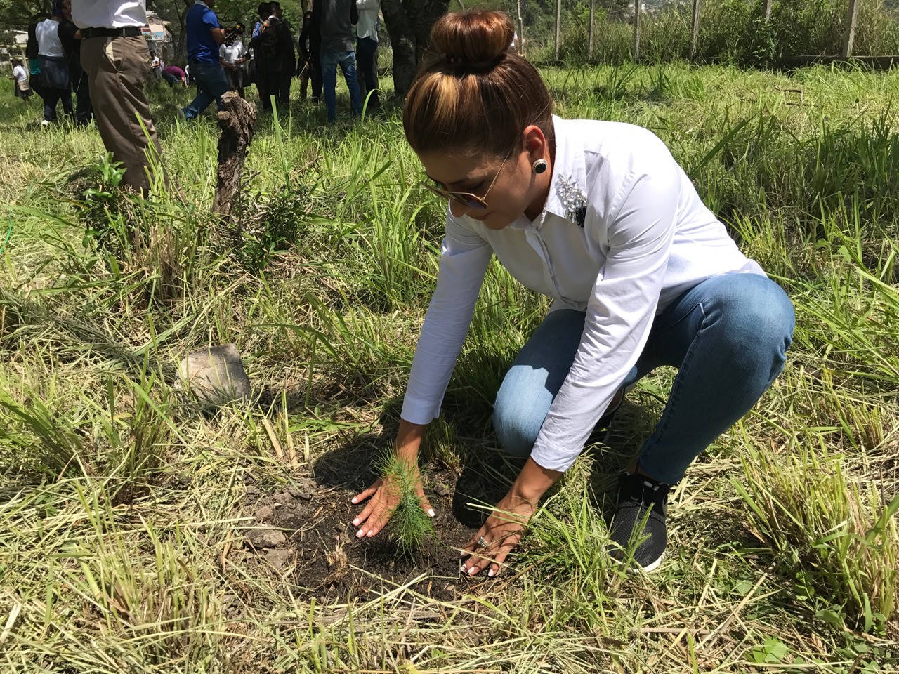 Plantatonhn tiene como meta la siembra de más de un millón de árboles a nivel nacional, una iniciativa de Televicentro y Emisoras Unidas.