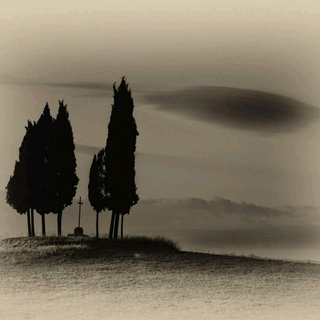 Landscape - cover