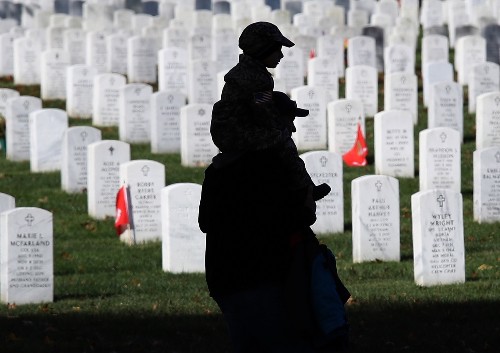 Veterans Day in Pictures