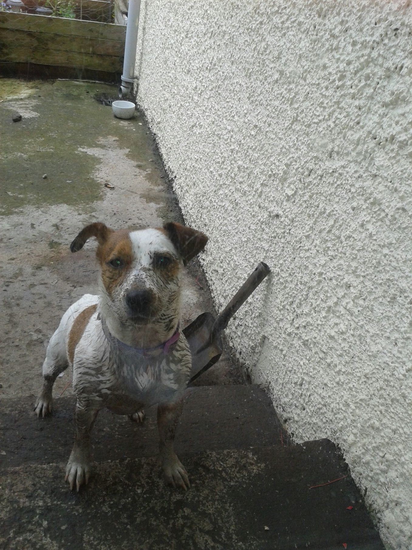 Who needs a shower