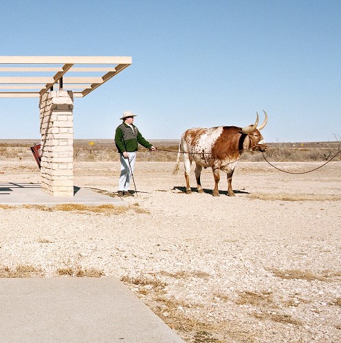 The Shot: The Day Bevo Photobombed the Rest Stop