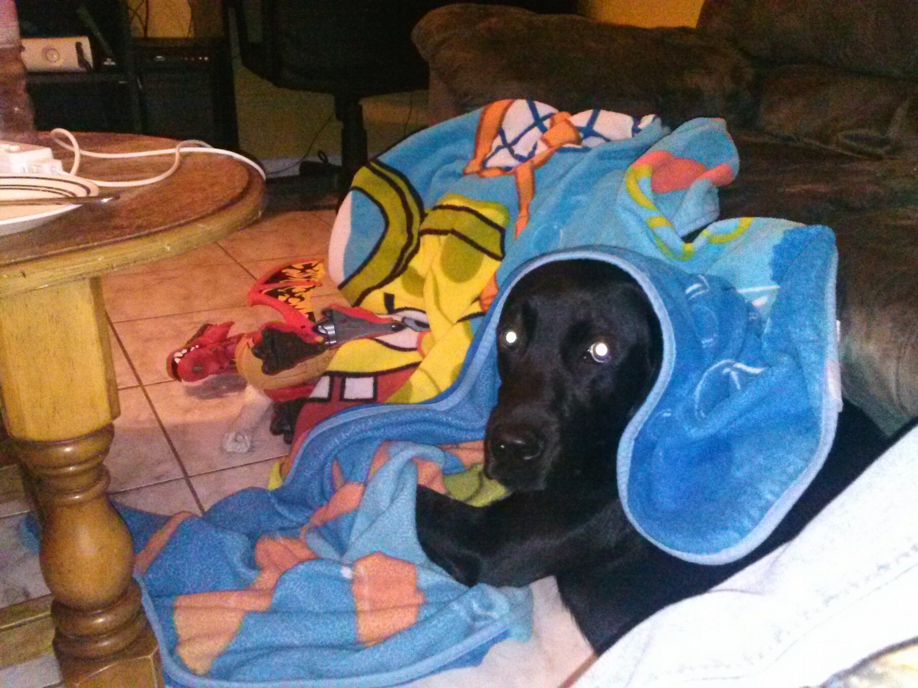 Sammy.