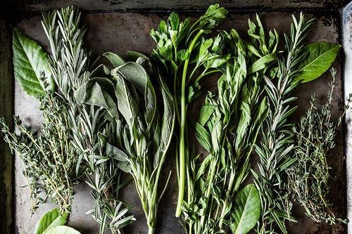 Our Latest Contest: Your Best Fresh Herbs
