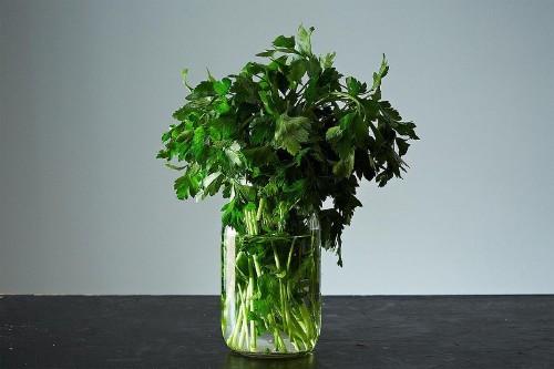 Best of the Hotline: How to Save Fresh Herbs
