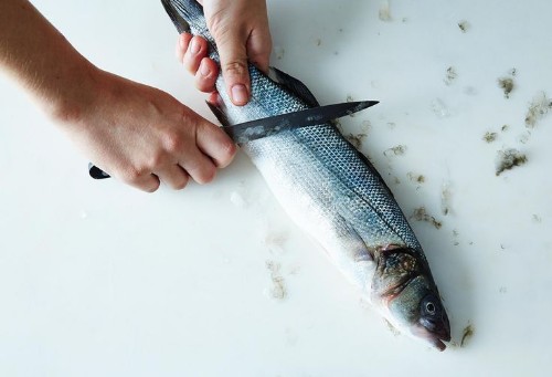 9 Knife Care Tips We Learned from a Master Bladesmith