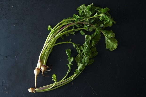 Turnip Greens: They're Tops!