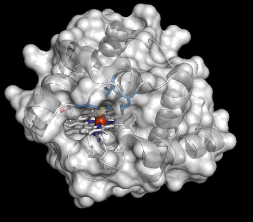 Custom Bacteria Make New Molecules On Demand