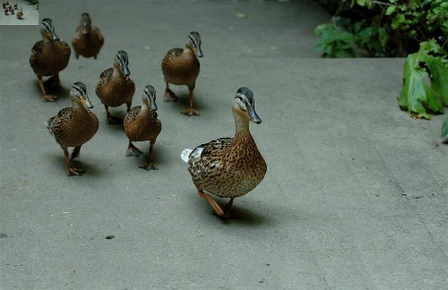 How To Lead When You're Not A Leader