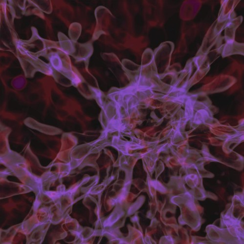 Surprise! The Universe Has A Third Way To Form Black Holes