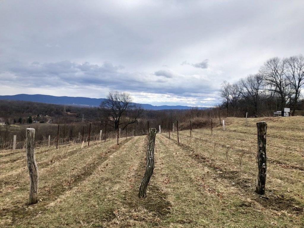 Hudson Valley Wine Country