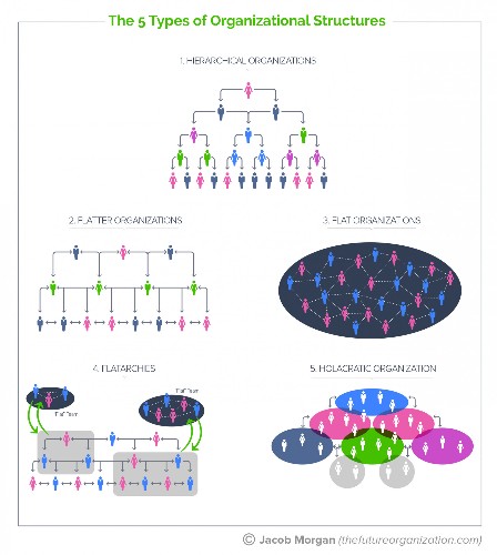 The Complete Guide To The 5 Types Of Organizational Structures For The Future Of Work