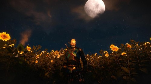 From Velen To Ard Skellig 'The Witcher 3' Is The Most Beautiful Game