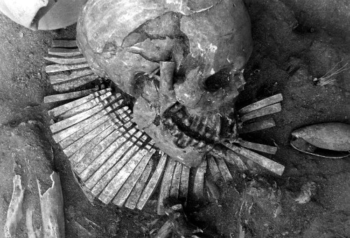 Suicide, Sacrifice, And Mutilations In Precolumbian Cemetery Questioned By Archaeologists