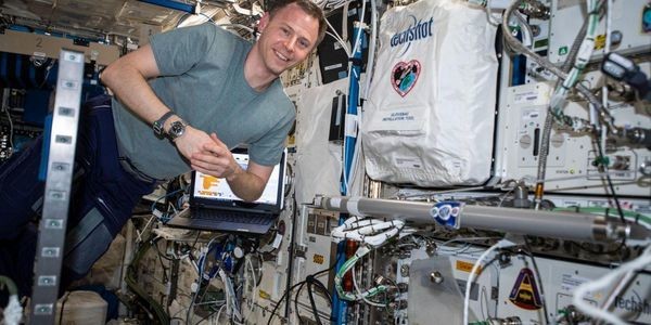 The Amazing Plan To Manufacture Human Organs In Space