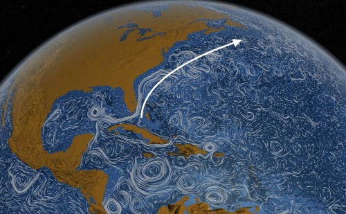 Global Ocean Circulation Keeps Slowing Down: Here's What It Means