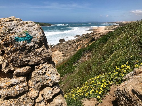 Beautiful Beaches at the End of the Earth: Exploring Portugal's Rota Vicentina
