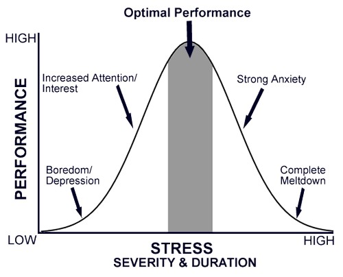 How Successful People Stay Calm