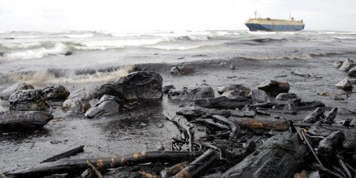 30 Years Later, Investors Still Lead The Way On Sustainability
