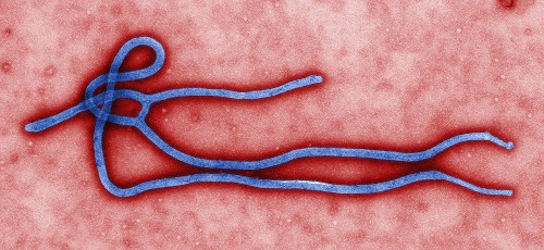 Ebola Response Reveals Double Standard In U.S. Health Care
