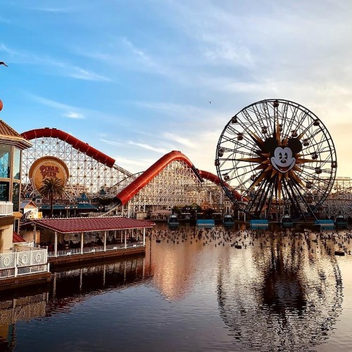 Fearless Summer: Disneyland Resort
