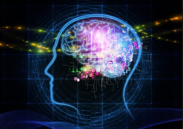 Seven Things Neuroscientists Know That Most People Don't