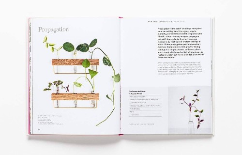 Holiday Gift Guide: 7 Beautiful Books Every Houseplant Lover Needs