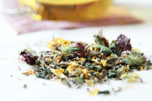 Miracle Cure for Allergies: Gentle Nettle Tea