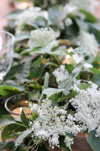 DIY: Foraging for a Midsummer Botanical Tabletop