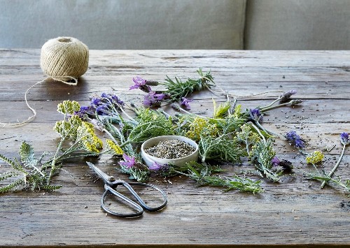 Announcing Our New Guide to Herbs