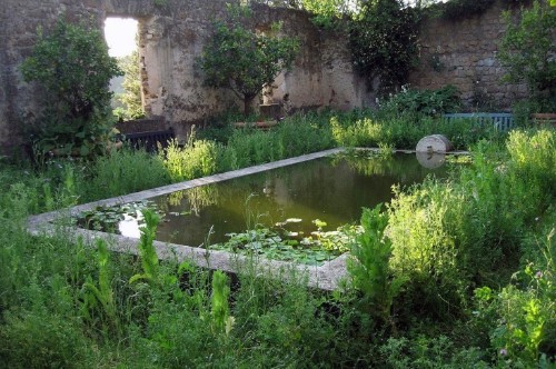 Paradise Found: Designer Dan Pearson’s Modern Garden for a Medieval Castle
