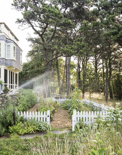 Eat Your Vegetables: The Salad Garden by Joy Larkcom