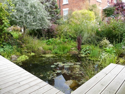 Best UK Amateur Garden: An Artist’s Country Garden by Bev Horsley