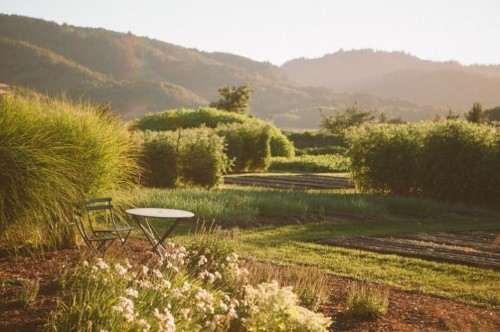 Garden Visit: The French Laundry in California’s Napa Valley