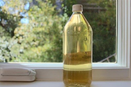DIY: The Best Garden Insecticide (and No Harmful Chemicals)