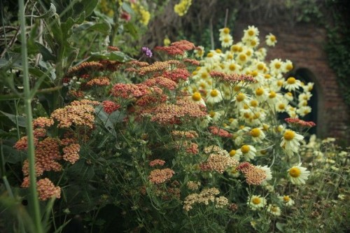 Current Obsessions: Scents of Spring