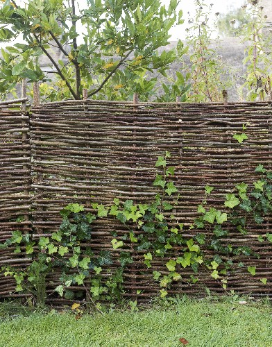 Hardscaping 101: Woven Fences