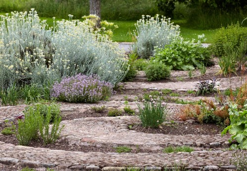 10 Things Nobody Tells You About Herbs